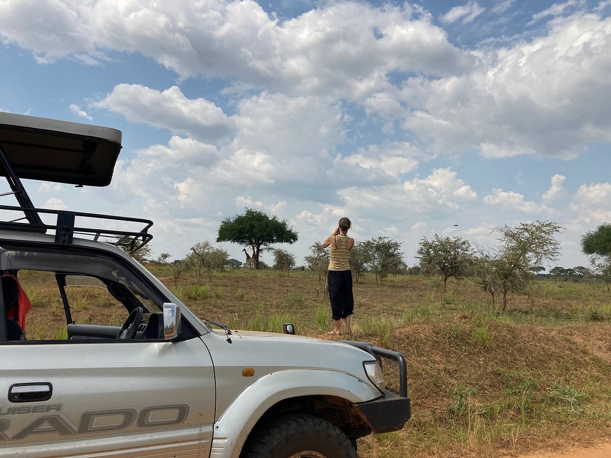 Advantages Of Travelling Solo On A Self Drive Uganda Safari